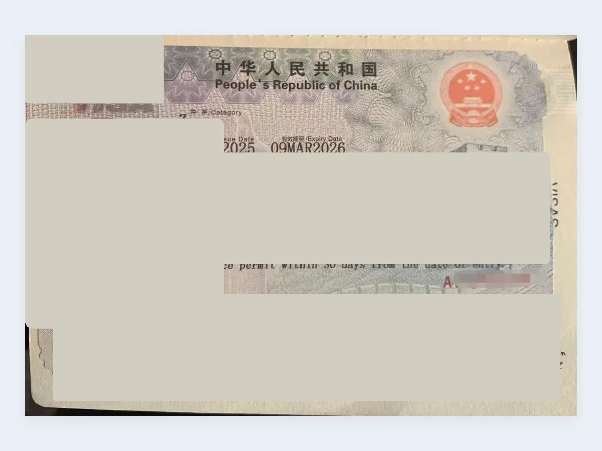 入境签证办理记录 - 已脱敏