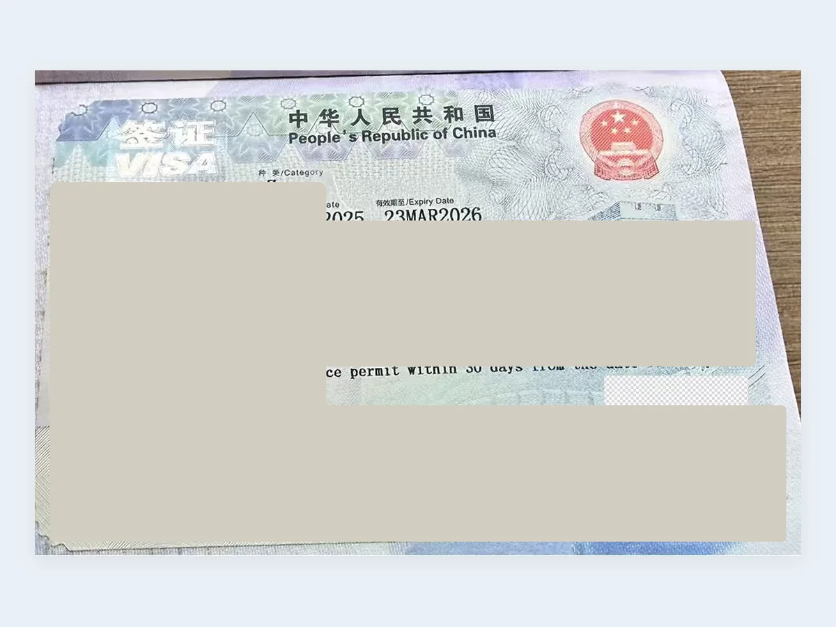 入境签证办理记录 - 已脱敏