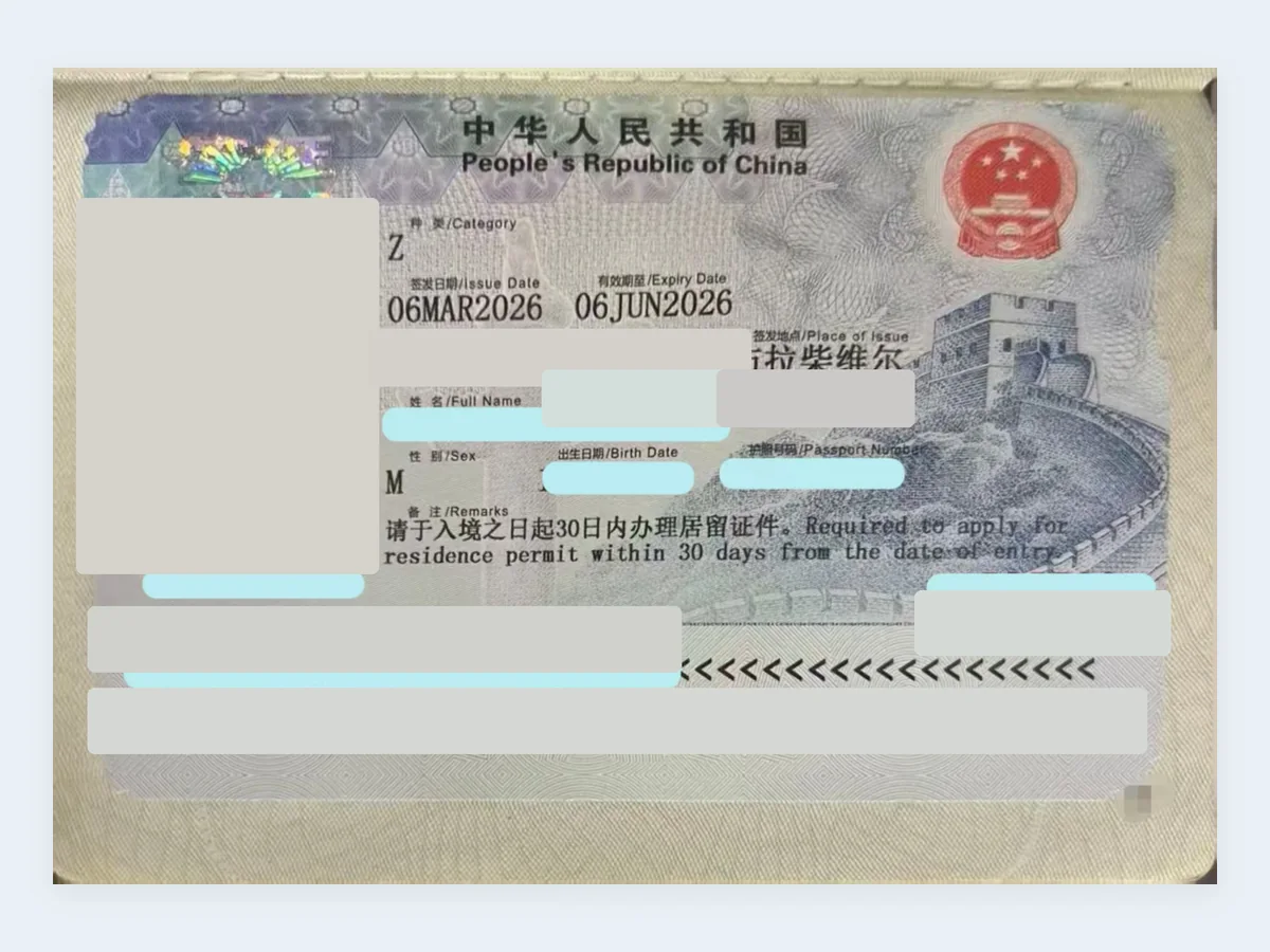 Z 签证获签记录 - 已脱敏