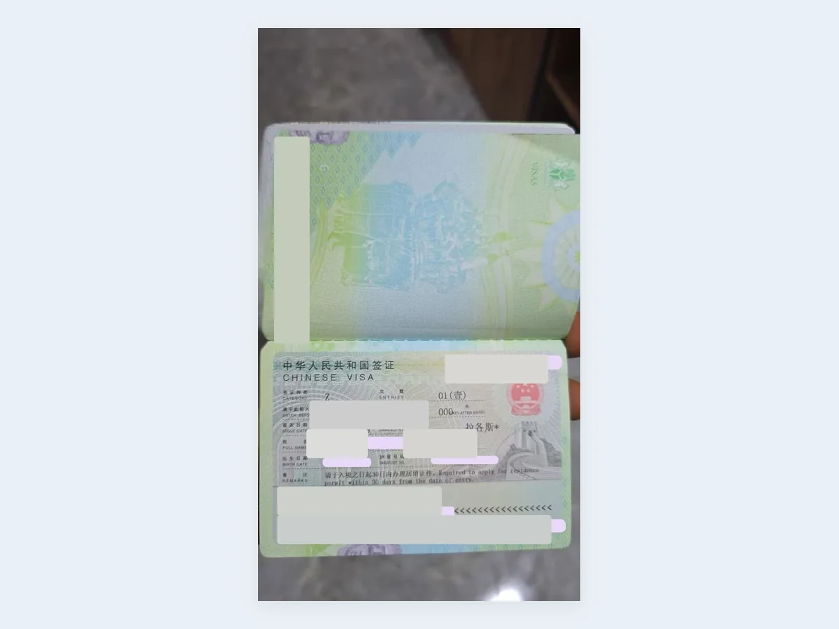 Z 签证获签记录 - 已脱敏