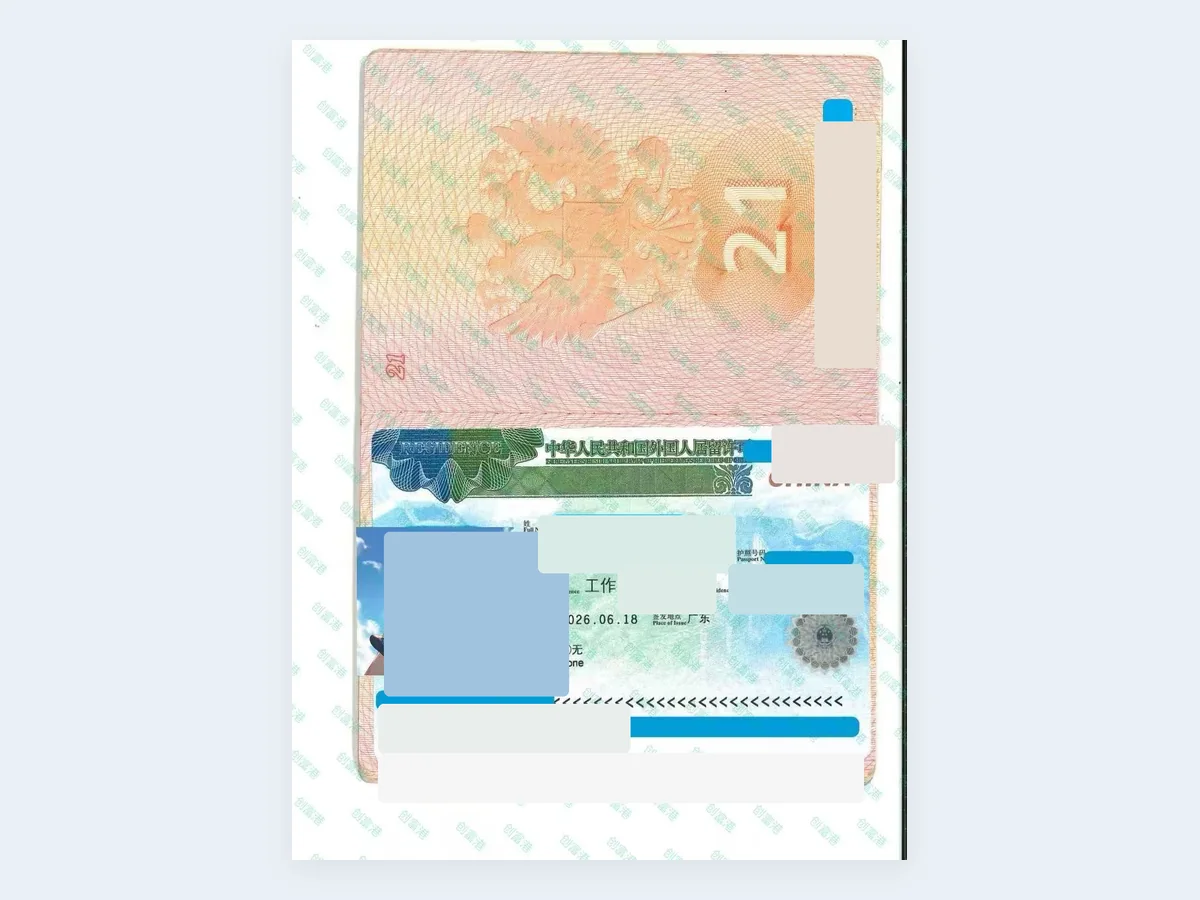 工作类居留许可记录 - 已脱敏